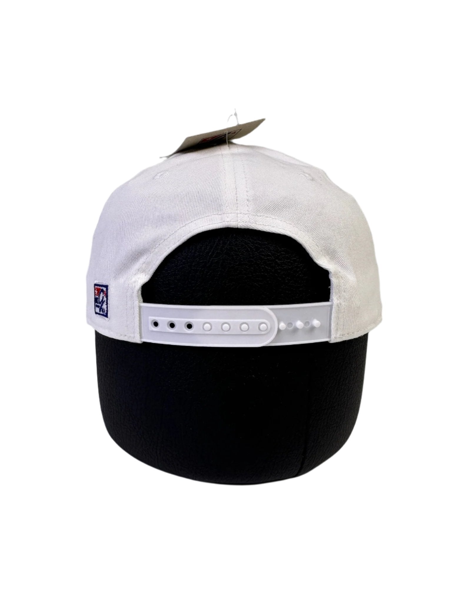 michigan hat