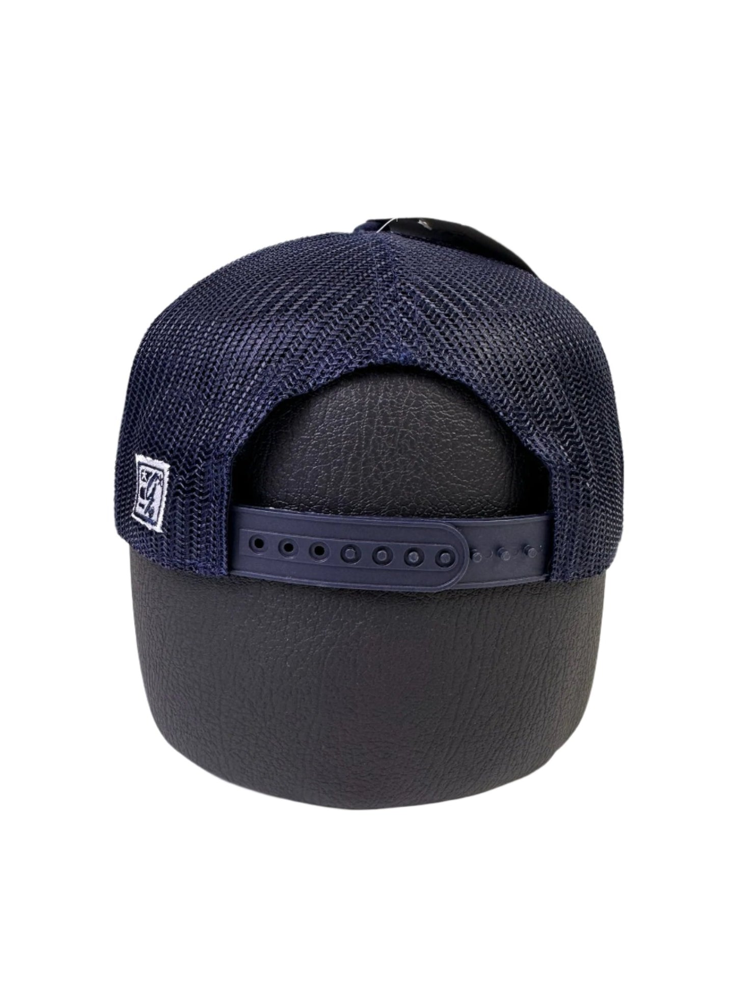 michigan 2023 national champs hat