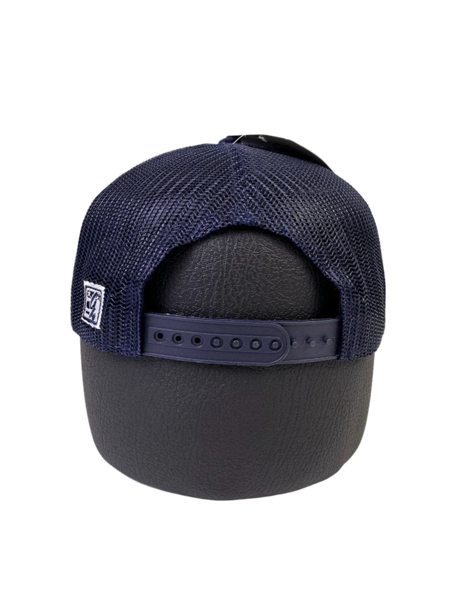 michigan 2023 national champs hat