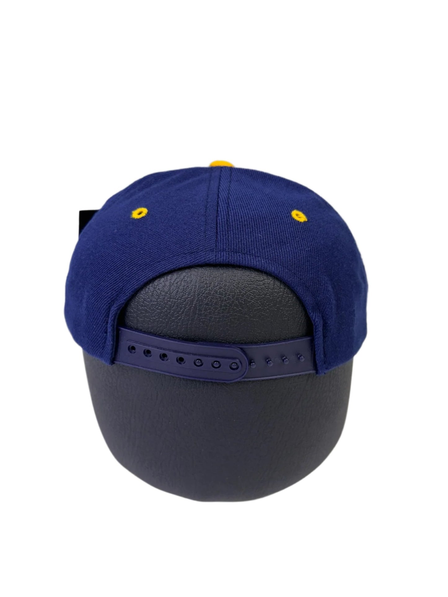 vintage michigan hat