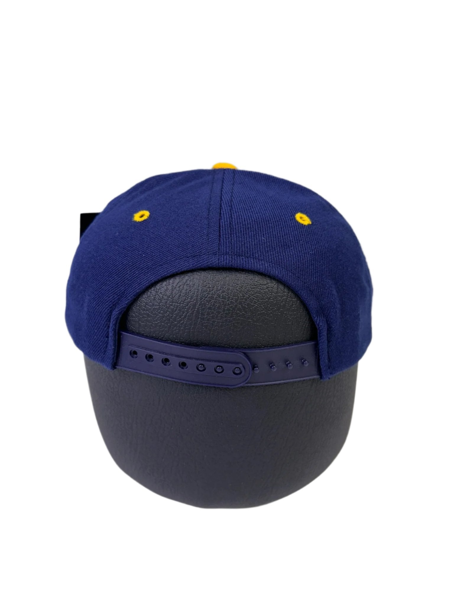 vintage michigan hat