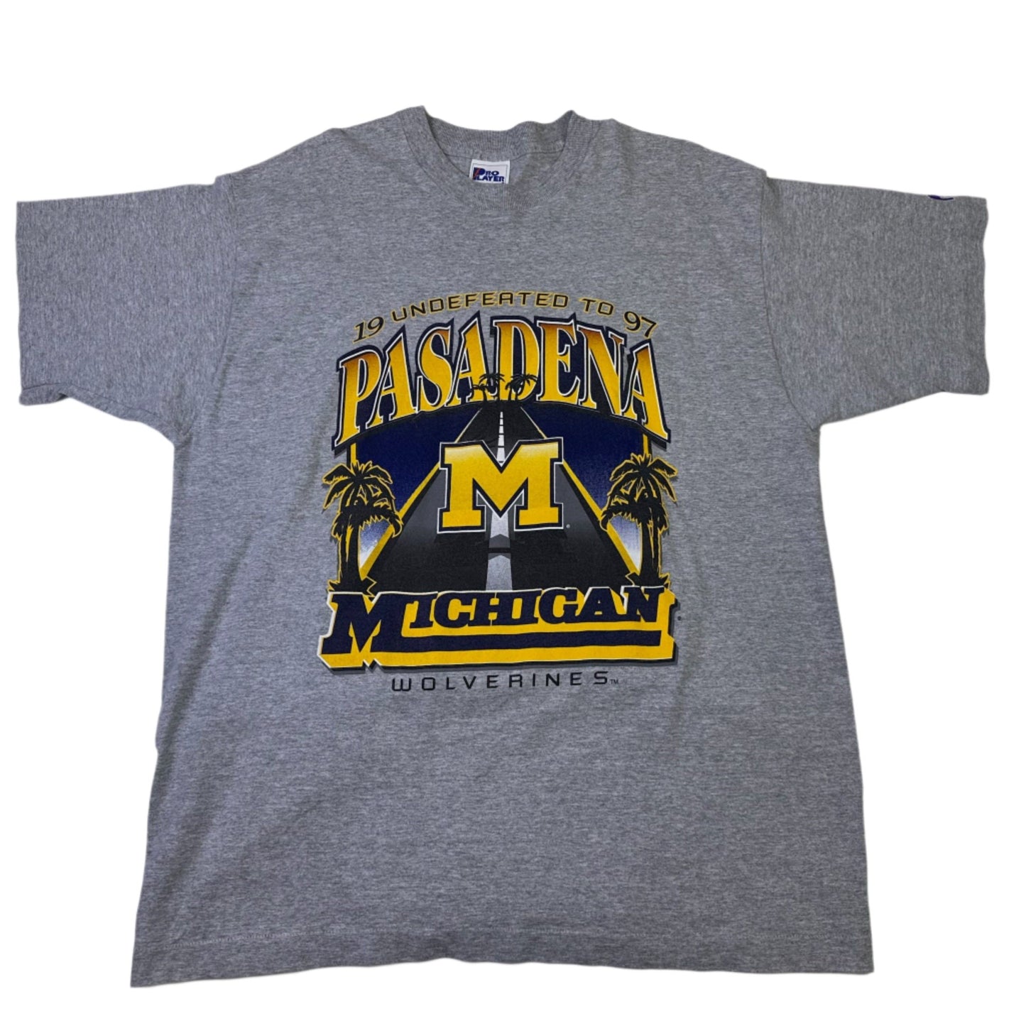 vintage michigan 1997 national champs t-shirt