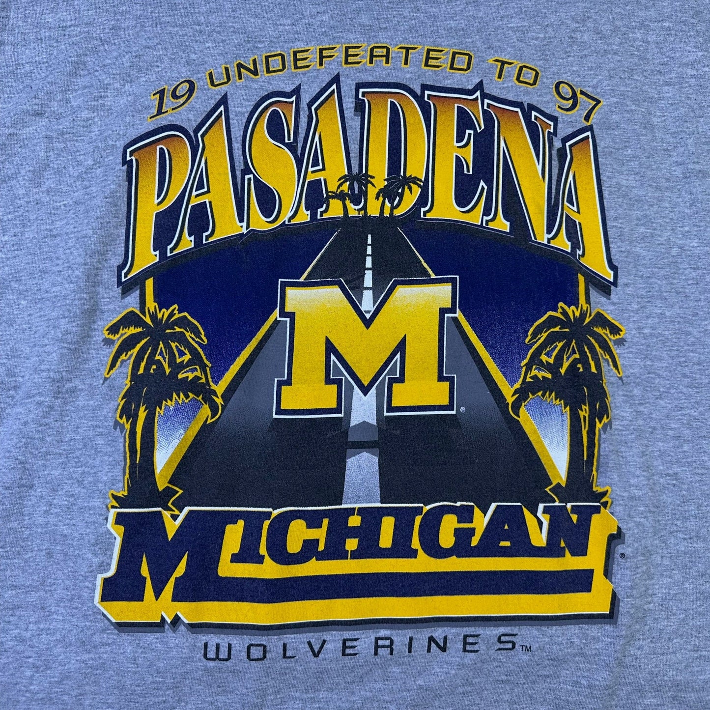 vintage michigan 1997 national champs t-shirt