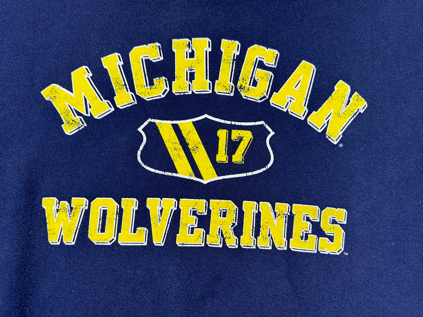 Michigan Print Crewneck