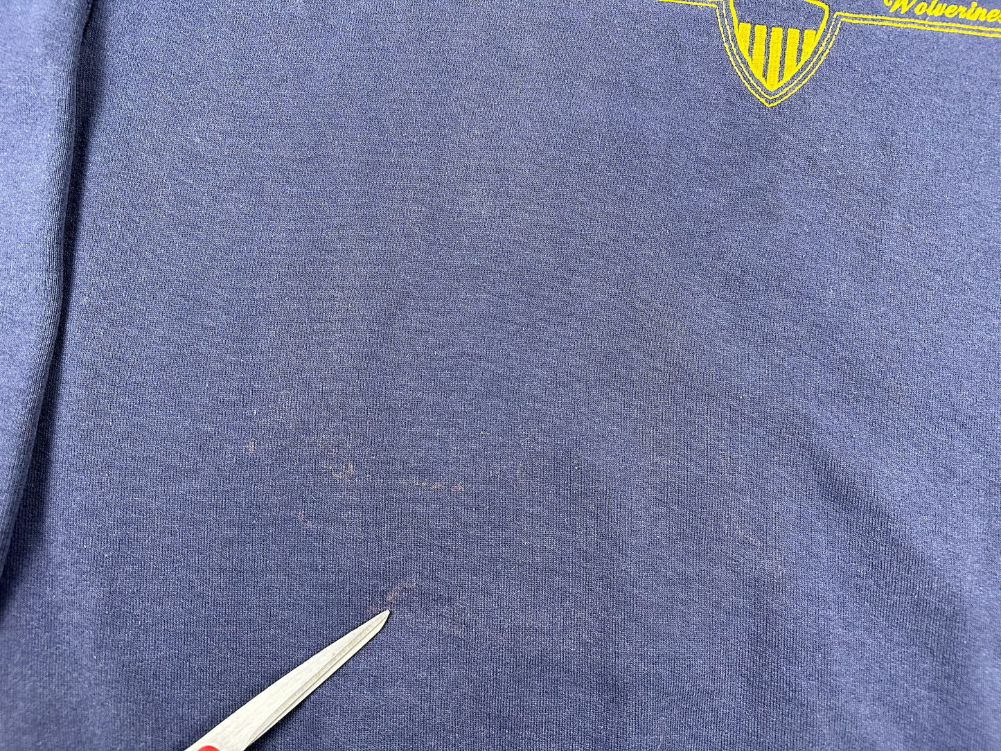 Michigan Embroidered Crewneck