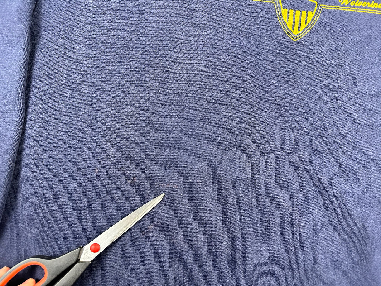 Michigan Embroidered Crewneck