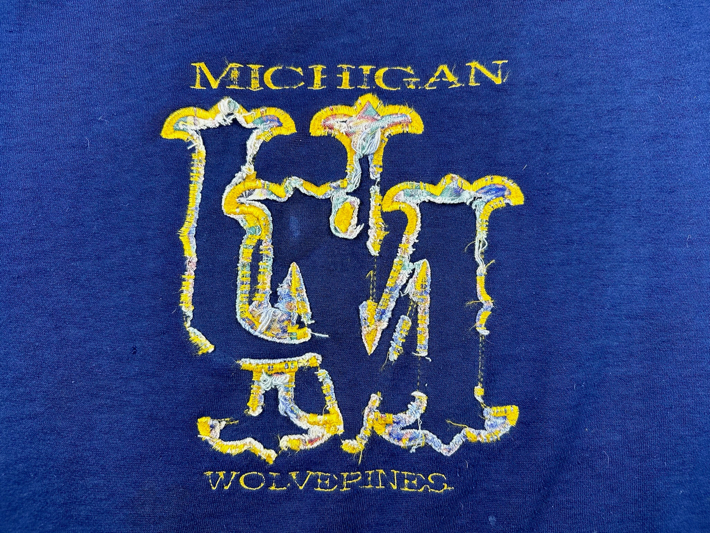 (Distressed) Michigan Crewneck