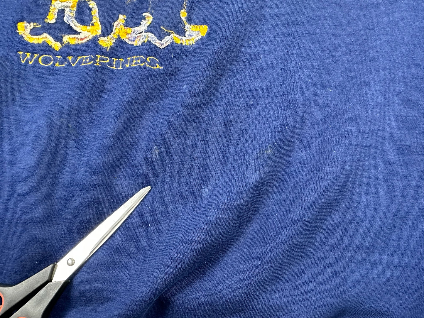 (Distressed) Michigan Crewneck
