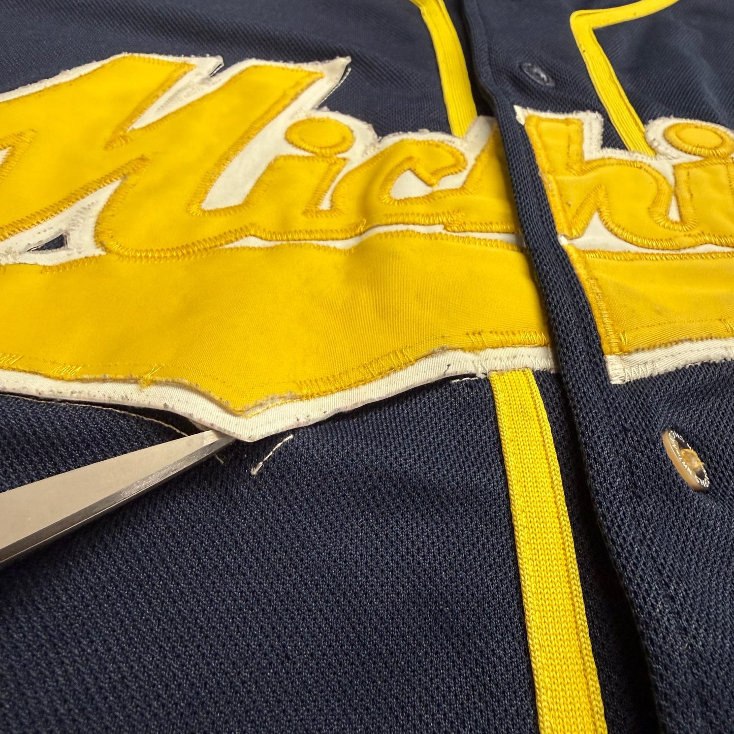 Michigan Baseball Jersey