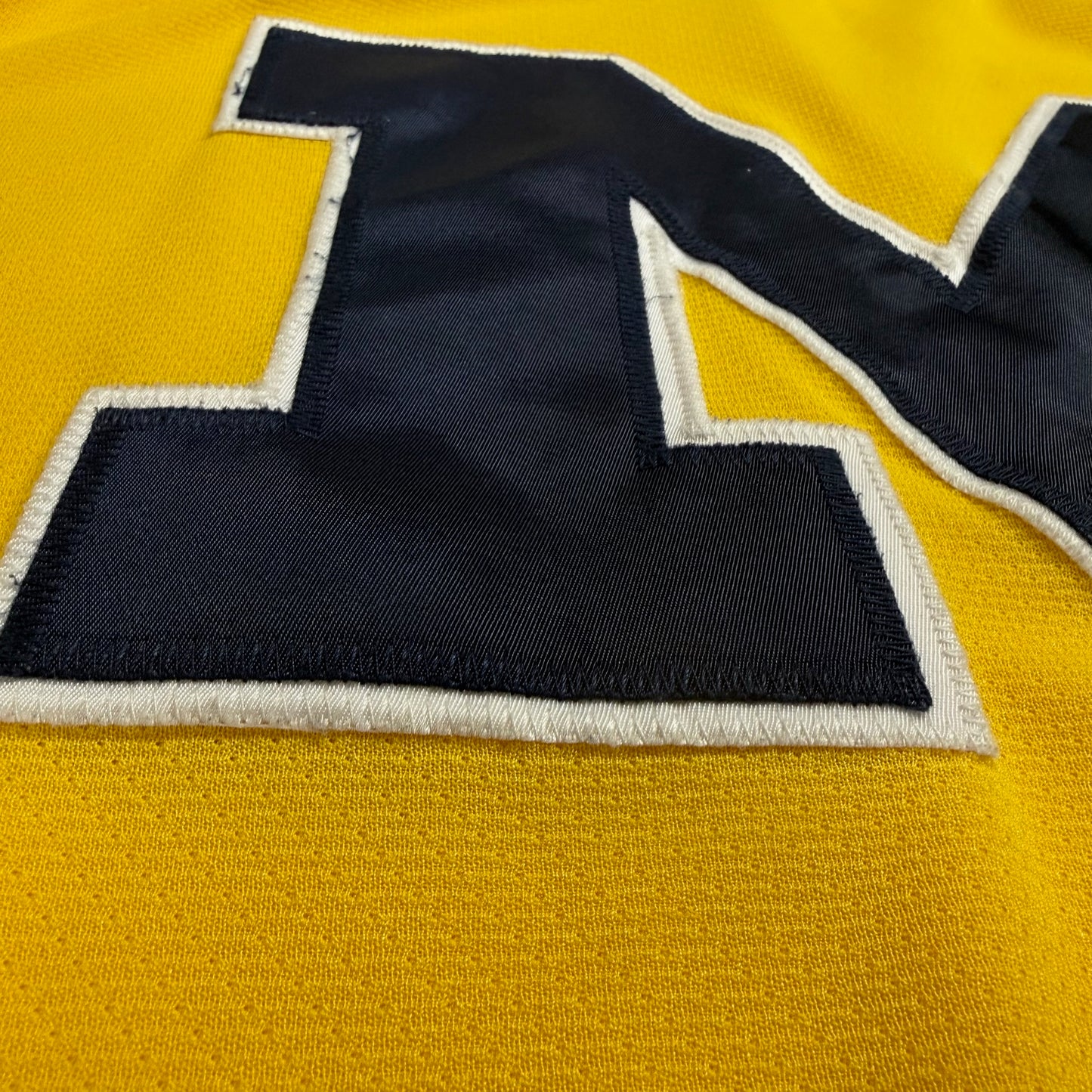 Michigan Hockey Jersey
