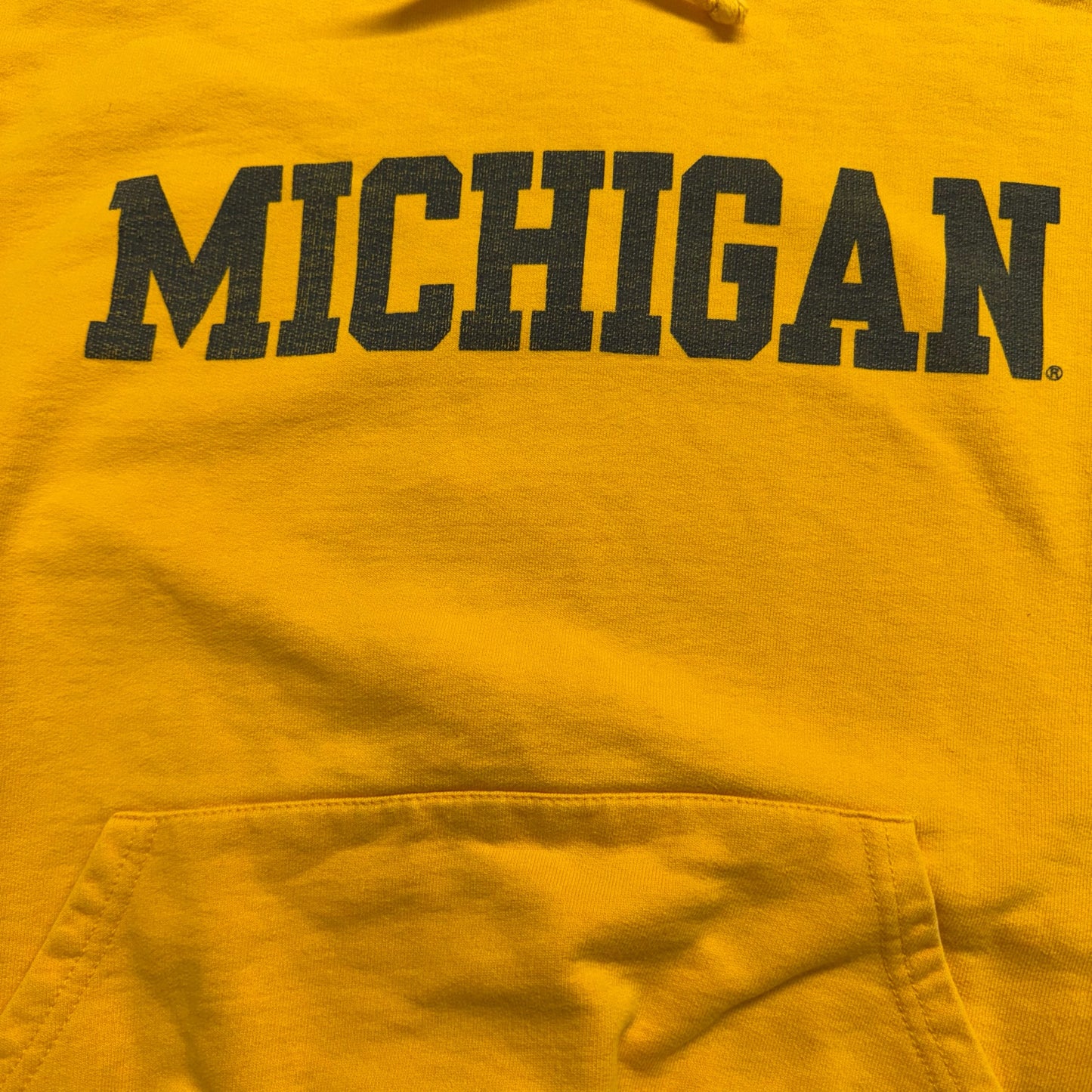Michigan Script Hoodie