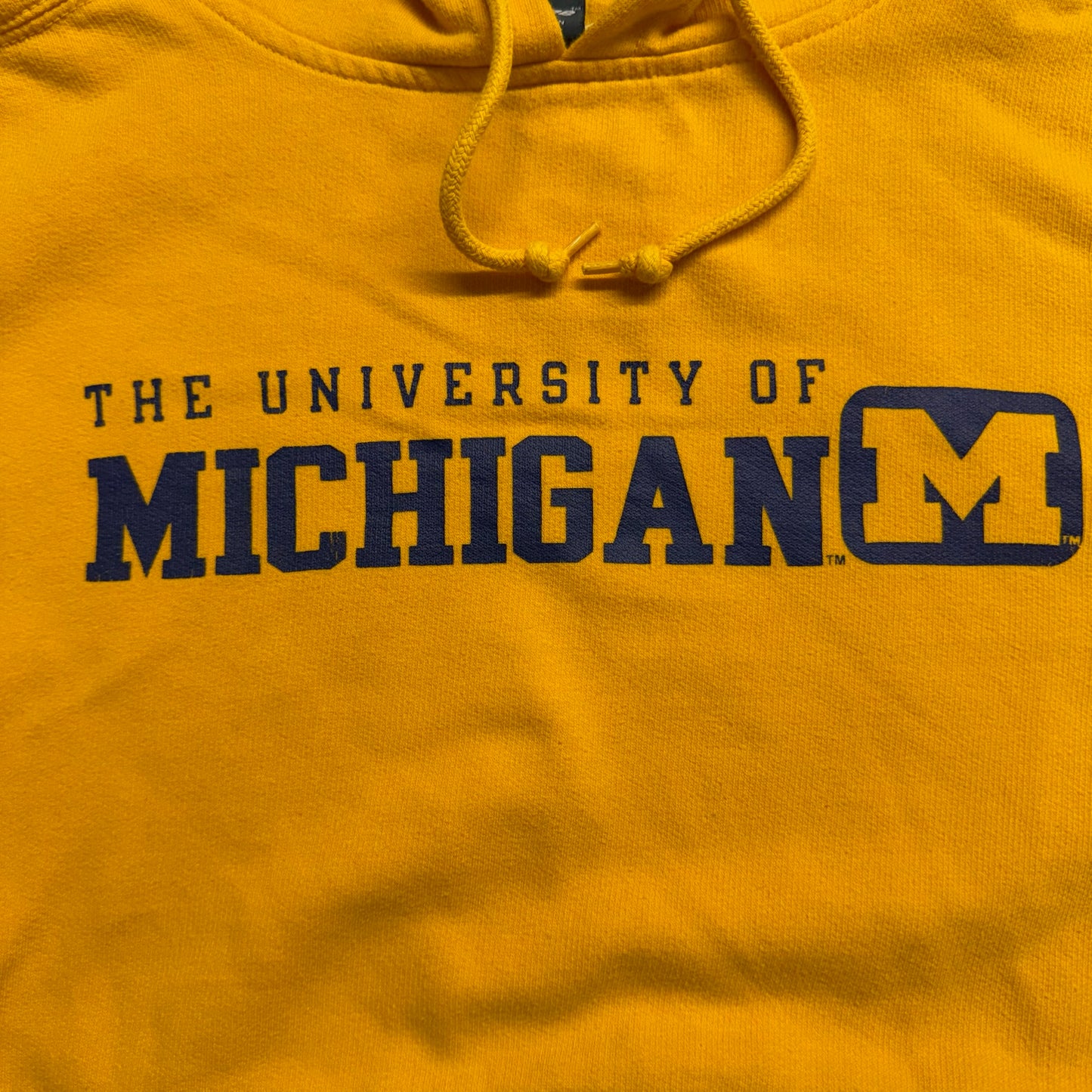 Michigan Boxy Fit Hoodie