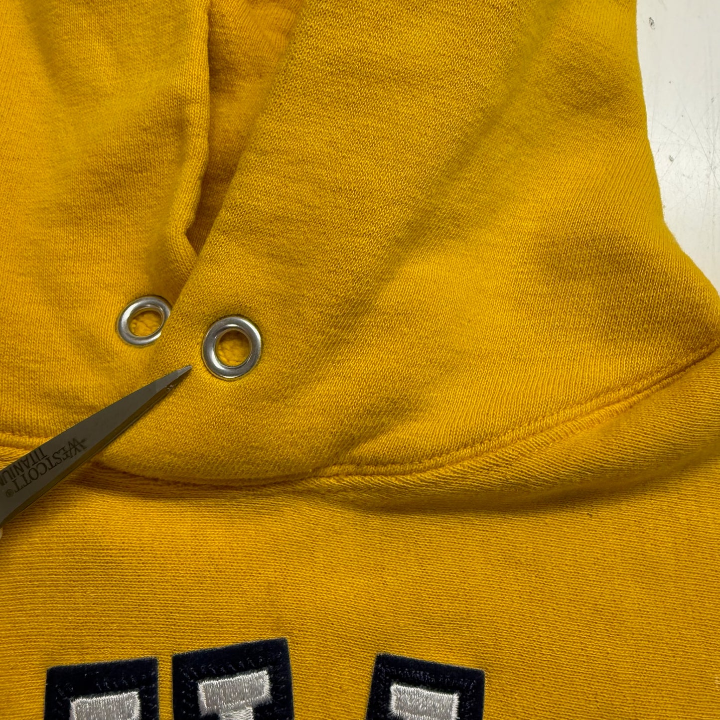 Michigan Embroidered Script Hoodie