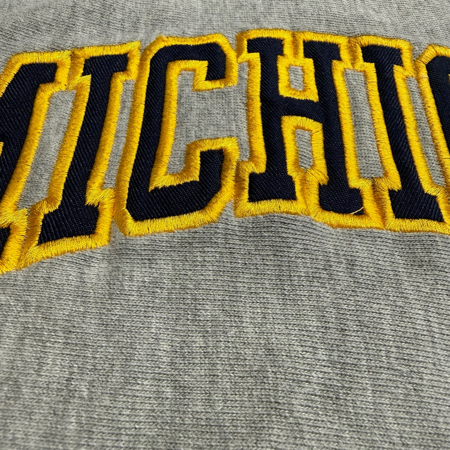 Michigan Embroidered Hoodie