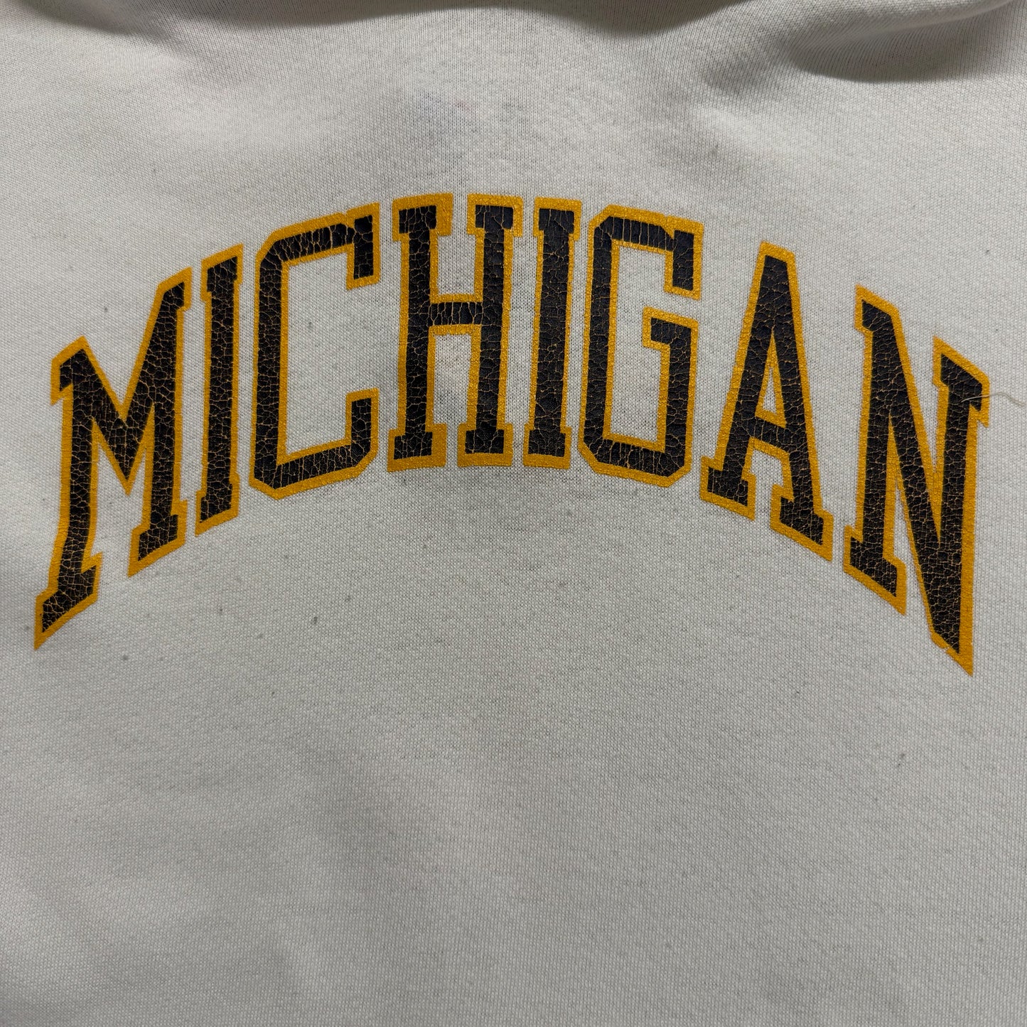 Michigan Screen Print Hoodie