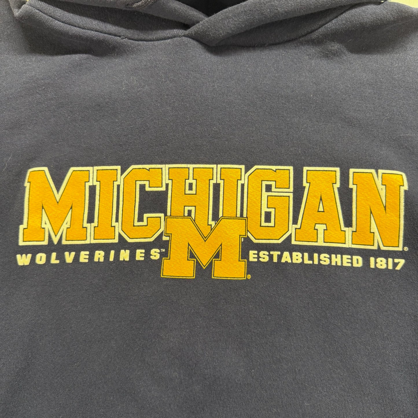 Michigan Screen Print Hoodie
