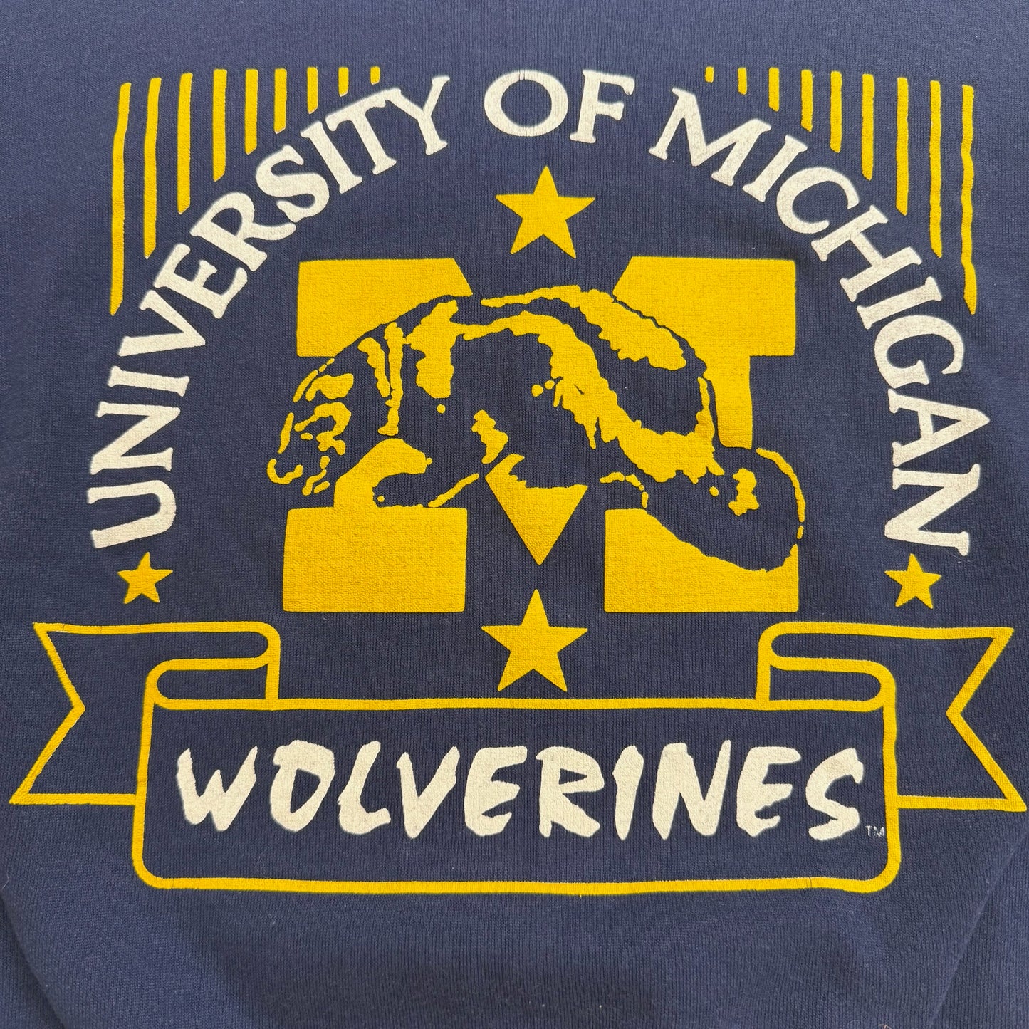 Michigan Graphic Crewneck