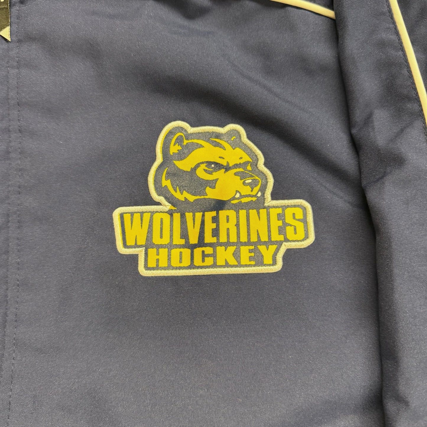 Modern Michigan Hockey Windbreaker