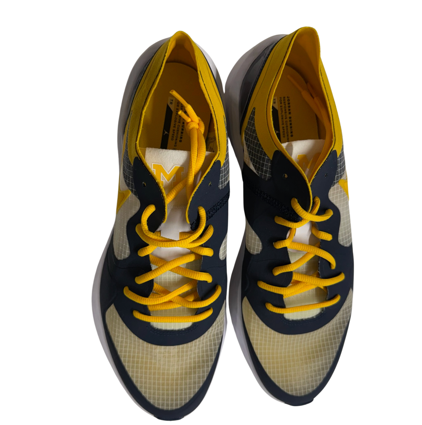 NEW Michigan Jordan Running Shoes