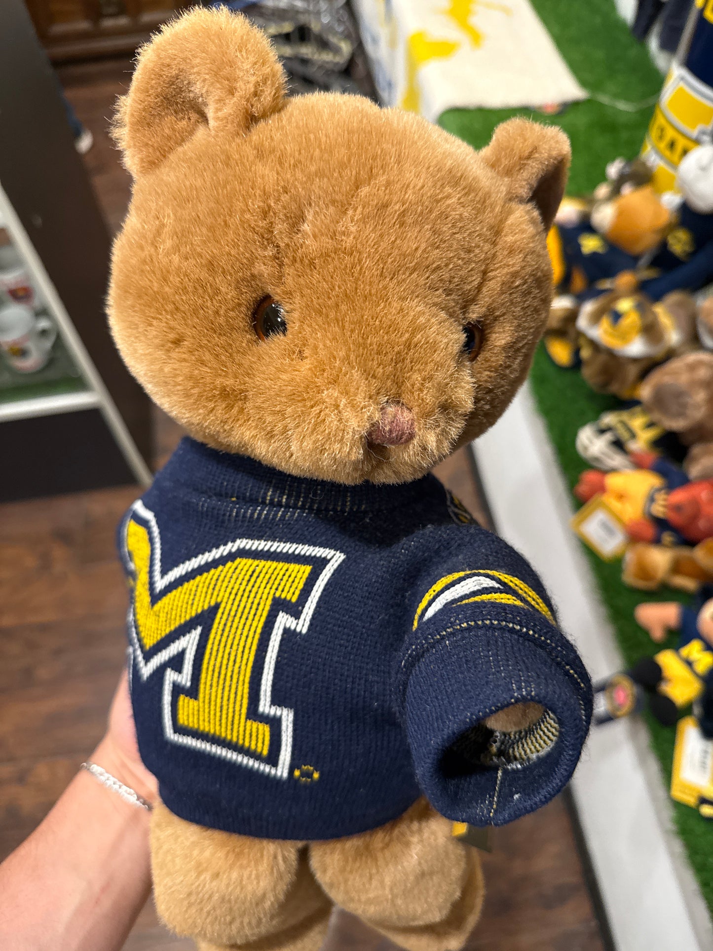 Michigan Bear