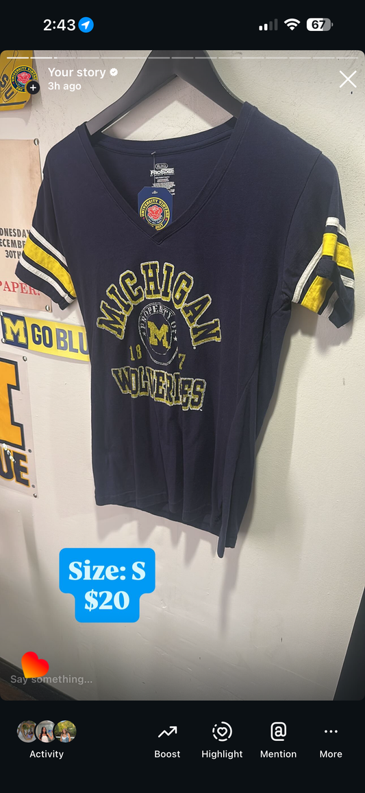 Michigan t small