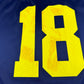 Michigan #18 Football Jersey