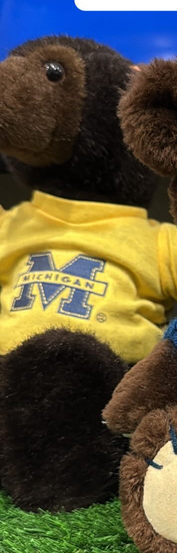 Michigan Bear & cheer leader
