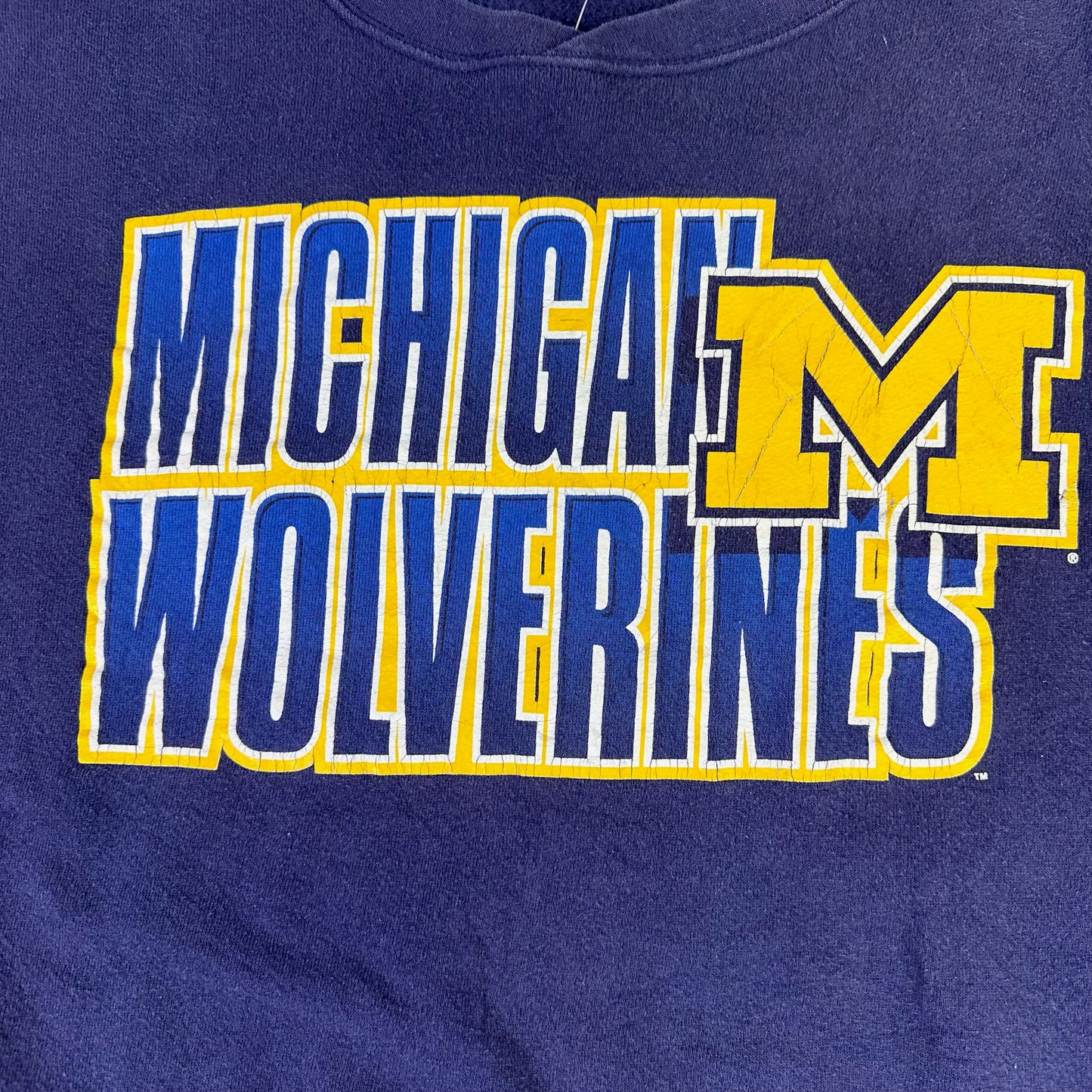 Michigan Distressed Vintage Crewneck