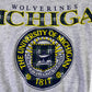 Michigan Vintage Plaid Script Crewneck