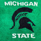 michigan state sweater