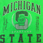 Michigan State Graphic T-Shirt