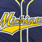 Michigan Baseball Jersey