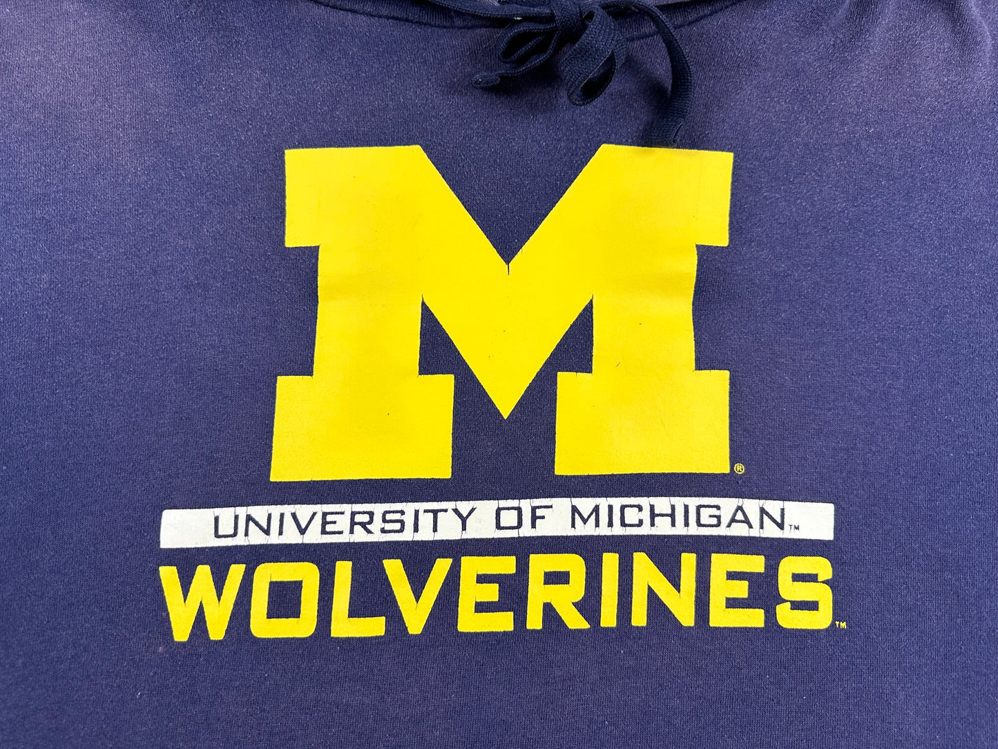 Michigan Screen Print Sweatshirt