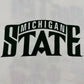 Michigan State Spartans Big Ten T-Shirt