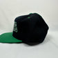 Michigan State Spartans Snapback Hat