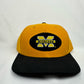 Michigan M Logo Strapback Hat