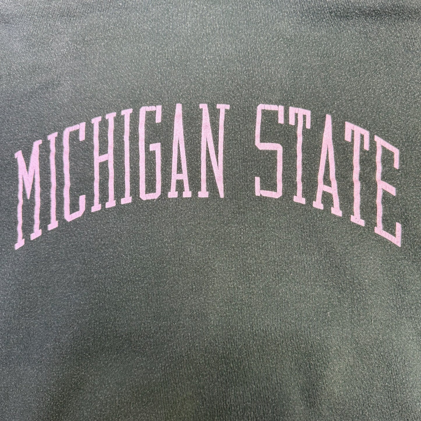 Michigan State Hoodie