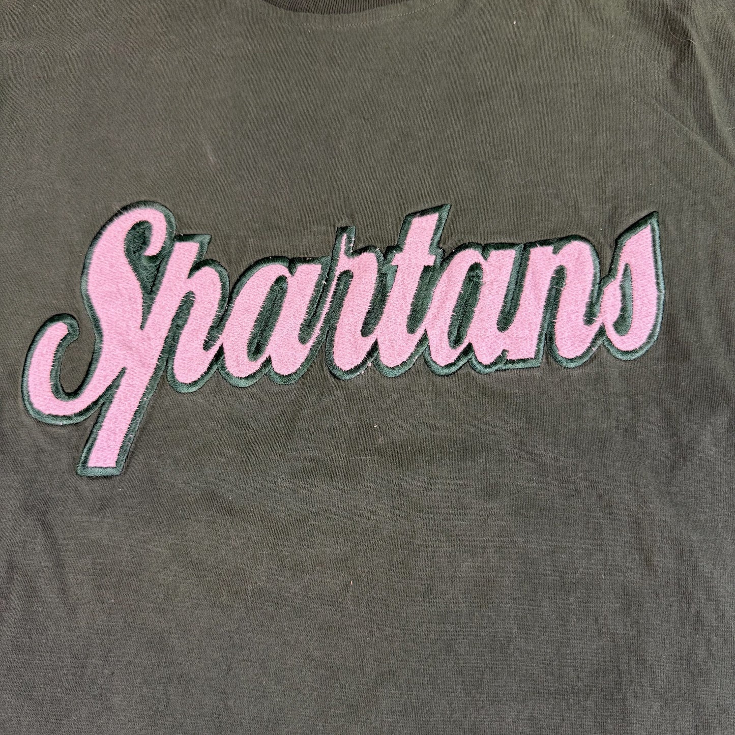 Michigan State Embroidered T-Shirt