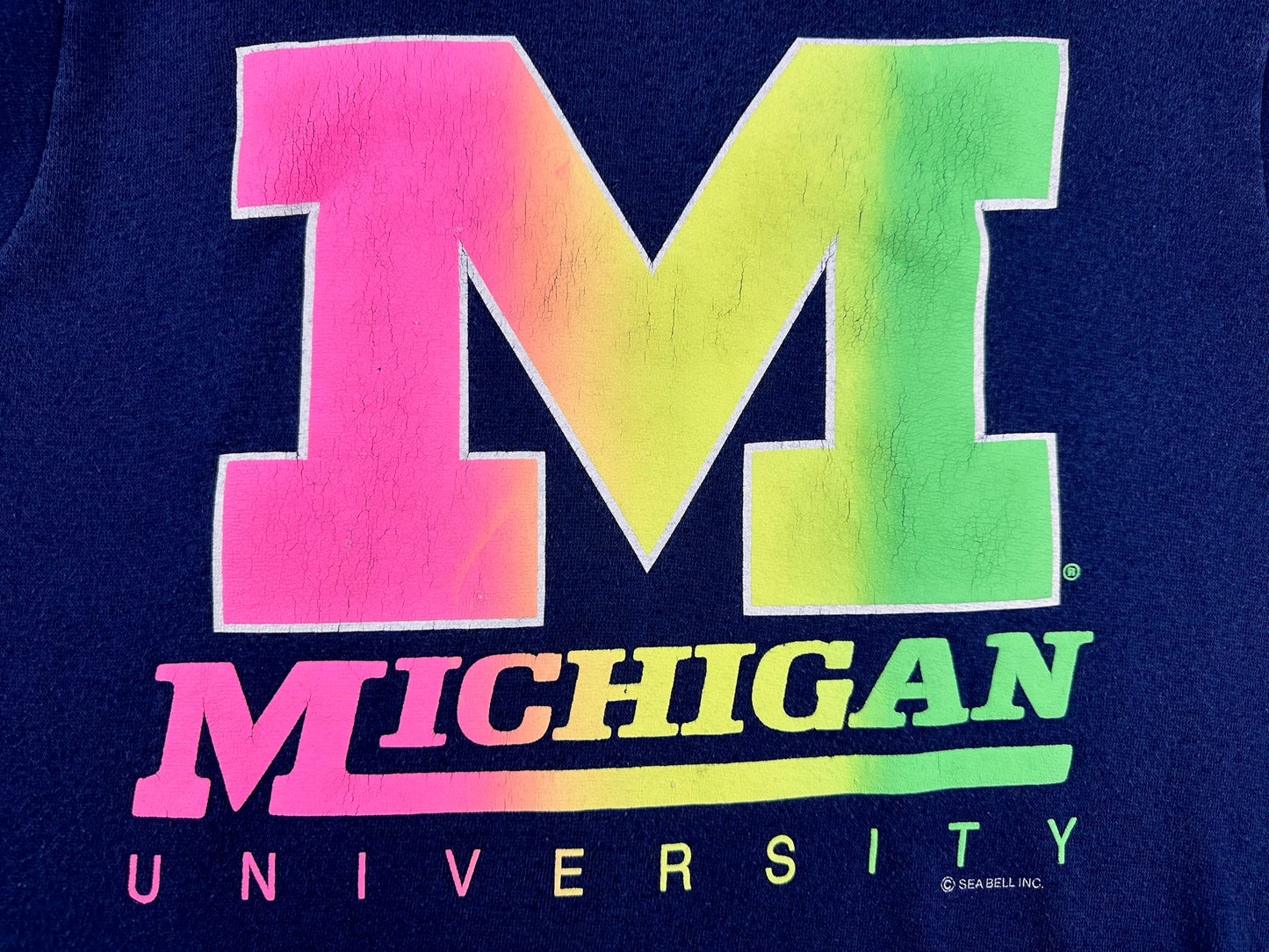 Michigan Rainbow Crewneck