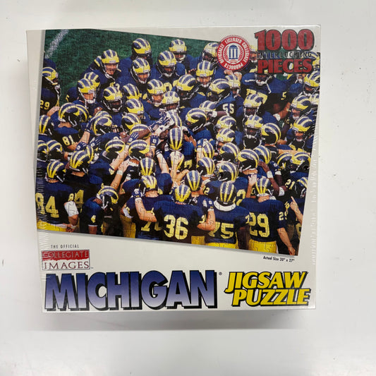Michigan Puzzle