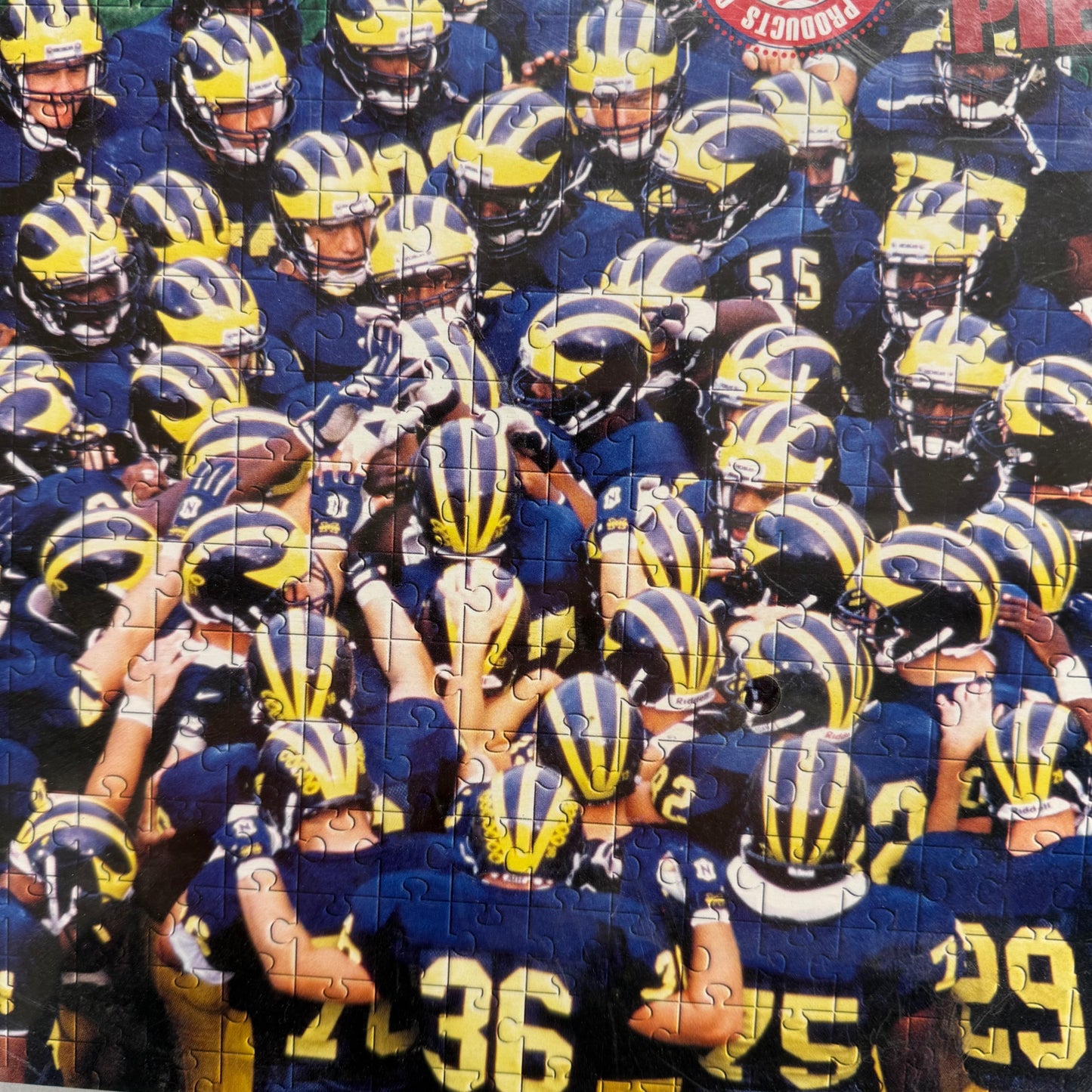 Michigan Puzzle