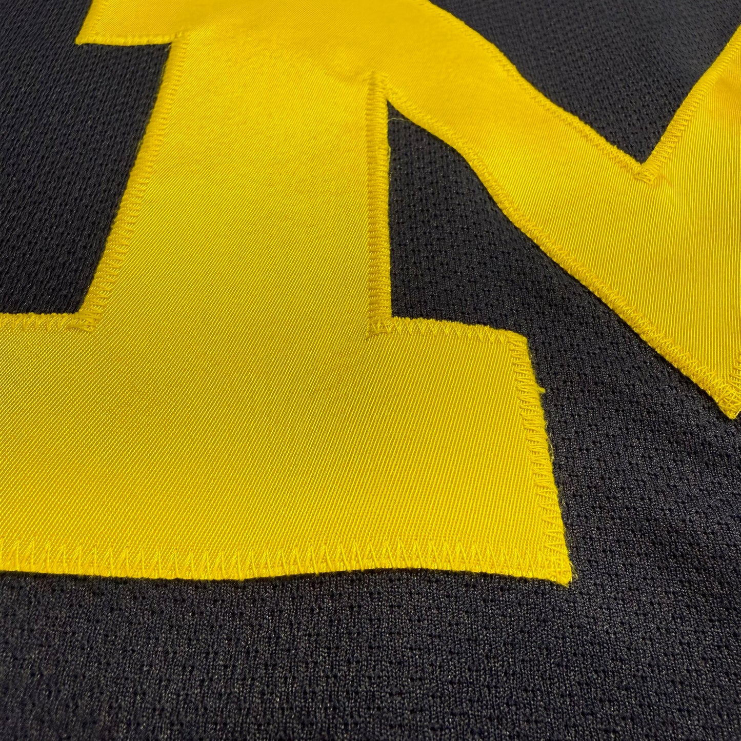 Michigan Hockey Jersey