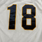 Michigan #18 Hockey Jersey