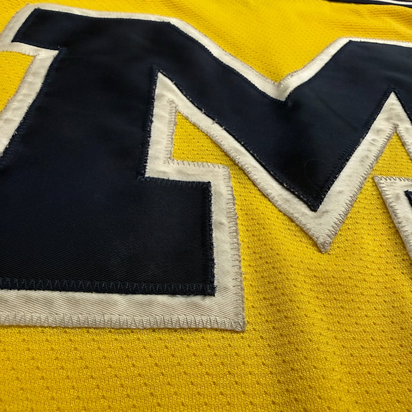 Michigan Hockey Jersey