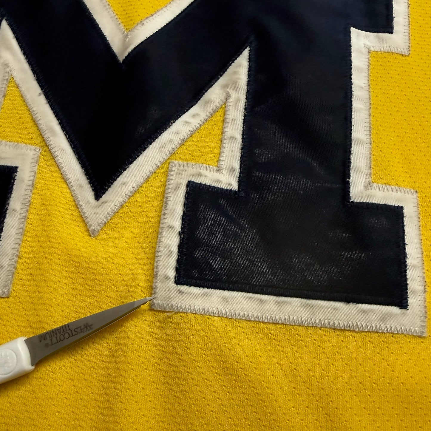 Michigan Hockey Jersey