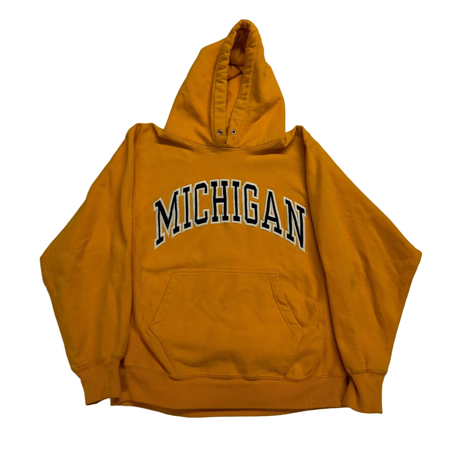 Michigan Embroidered Script Hoodie