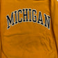 Michigan Embroidered Script Hoodie