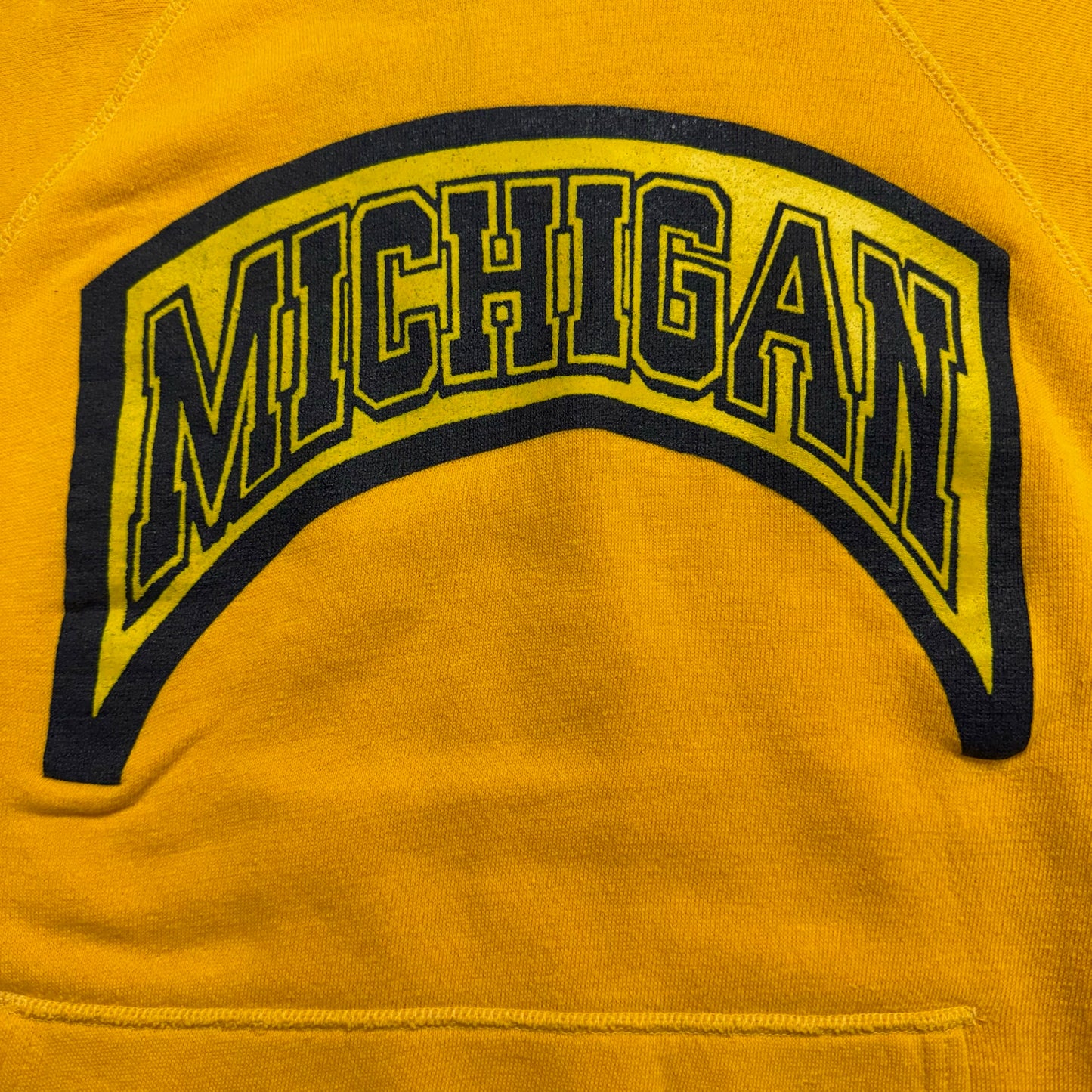 Michigan Script Hoodie