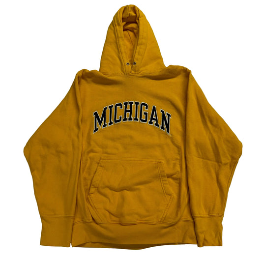 Michigan Embroidered Script Hoodie