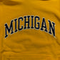 Michigan Embroidered Script Hoodie